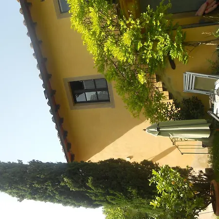 Tenuta Il Tresto