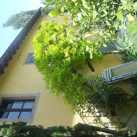 Tenuta Il Tresto Poggibonsi