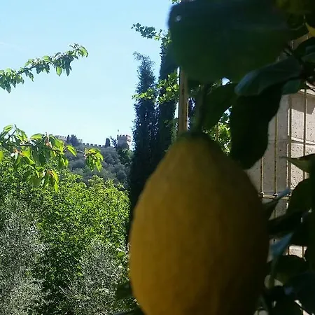 Tenuta Il Tresto * Poggibonsi