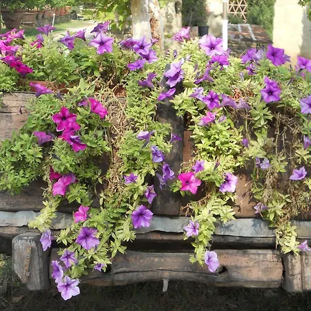 Country house Tenuta Il Tresto Poggibonsi