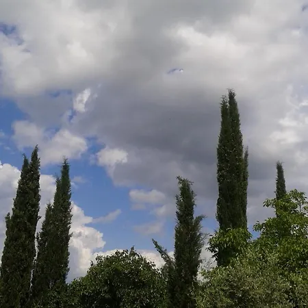Tenuta Il Tresto * Poggibonsi