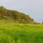 Tenuta Il Tresto Εξοχικό σπίτι Poggibonsi