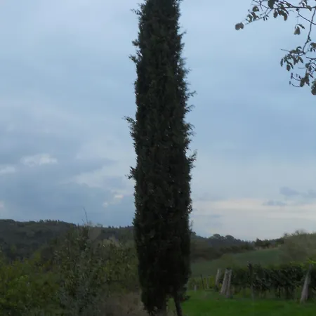 Gospodarstwo wiejskie Tenuta Il Tresto *