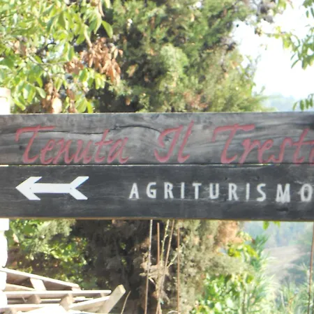 Tenuta Il Tresto