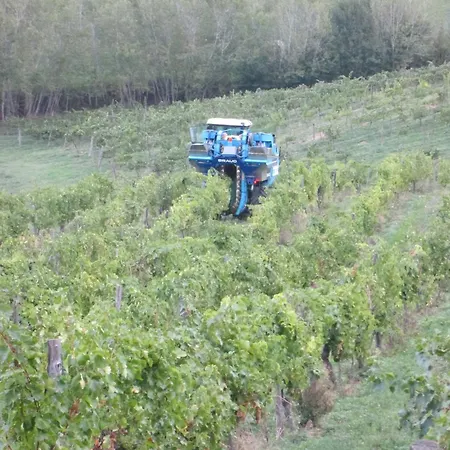 Tenuta Il Tresto Poggibonsi