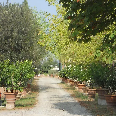 Gospodarstwo wiejskie Tenuta Il Tresto