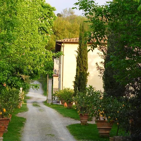 Tenuta Il Tresto