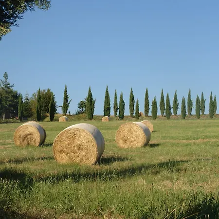 Gospodarstwo wiejskie Tenuta Il Tresto *