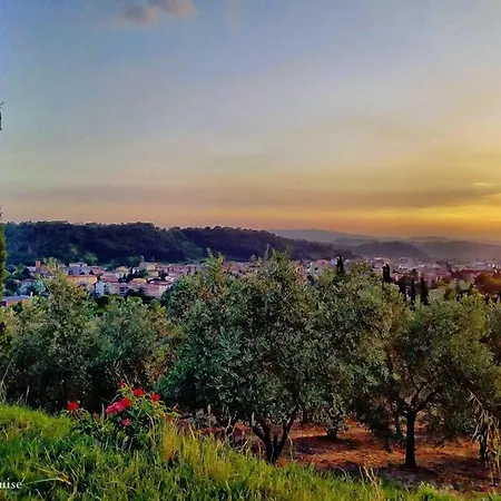 Tenuta Il Tresto Poggibonsi