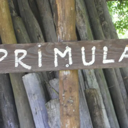 Tenuta Il Tresto Poggibonsi