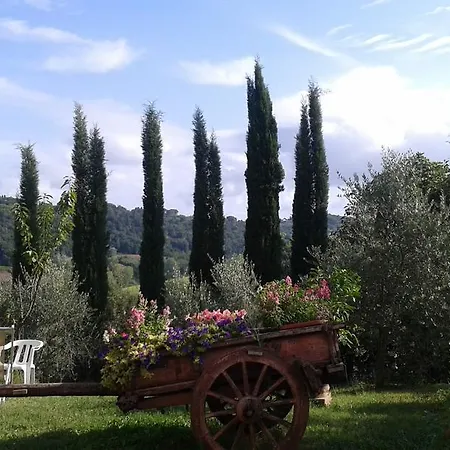 Gospodarstwo wiejskie Tenuta Il Tresto