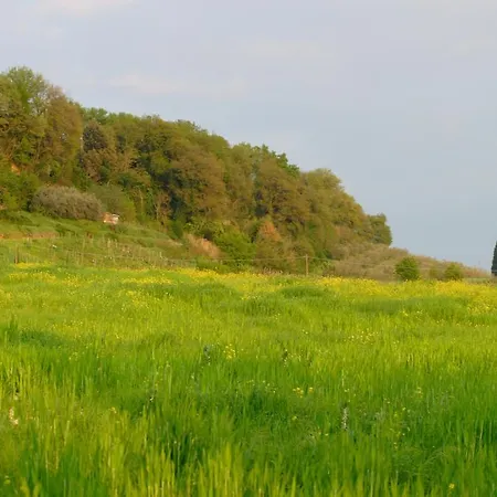 Tenuta Il Tresto Gospodarstwo wiejskie Poggibonsi