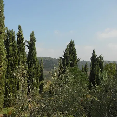 Gospodarstwo wiejskie Tenuta Il Tresto
