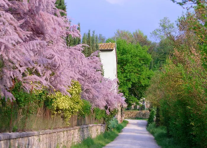 Tenuta Il Tresto Casa rural *
