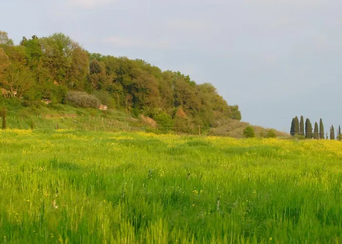 Tenuta Il Tresto Casa rural Poggibonsi